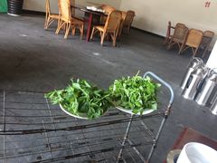 豆尖-朝伟清真铜瓢牛肉馆(三十年老·店)