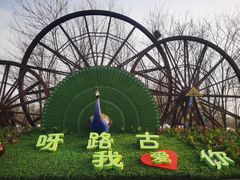 -呀路古热带植物园
