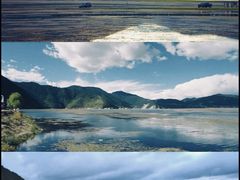 -西双版纳原始森林公园