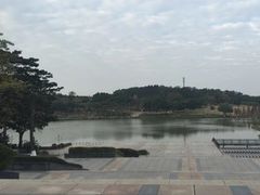 -东莞植物园