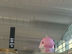 -广州白云国际机场-T2航站楼