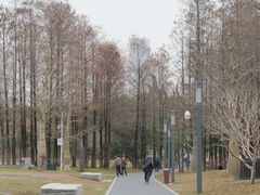 -四海公园(南山区)