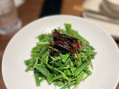 山茶油丝瓜尖-清水亭湖北菜(大屯DT51店)