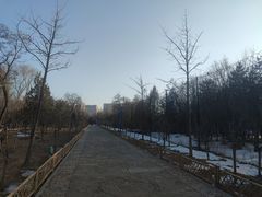 -森林公园(尖草坪区)