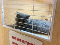 -伊藤洋华堂(温江店)