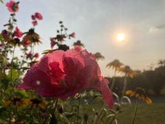 -九里河湿地公园