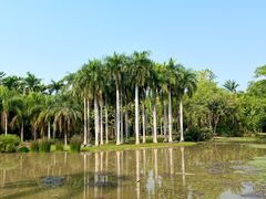 -中国科学院西双版纳热带植物园
