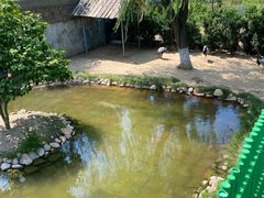 -西霞口神雕山野生动物世界