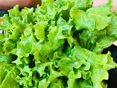 -百年石锅饭·朝鲜族传统民餐