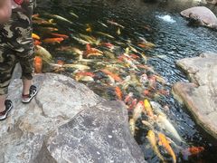-龙达温泉生态城