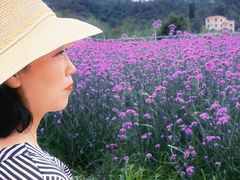 -名花谷生态庄园