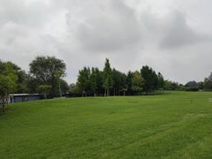 -塘沽森林公园