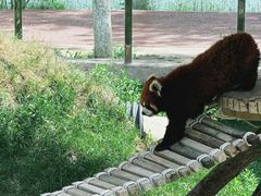 -水上乐园·欢乐世界