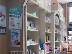 -米苏动物医院·犬猫专科·骨科外科内窥镜