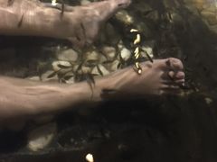 -陆地游轮吉林神农温泉