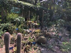 -中国科学院西双版纳热带植物园