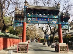 -北京国子监胡同