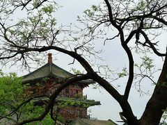 -北京凤凰岭