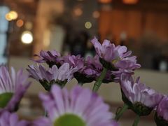 -the rug 飞毯 (朝阳公园店)