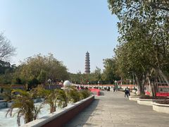 -广州莲花山旅游区