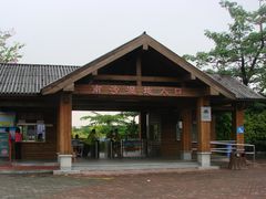 广州南沙湿地景区-大湾区中央湿地公园