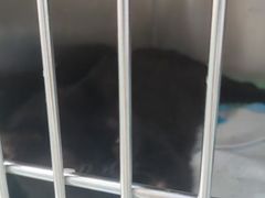 -嘉馨宠物医院·CT影像转诊·心脏科·犬猫全科诊疗中心(下沙大学城院区)