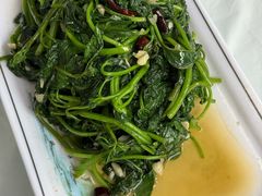 炒苕尖-笑红饭庄