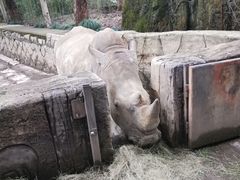 -杭州野生动物世界
