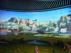 -安徽省地质博物馆