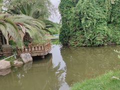-星河温泉小镇