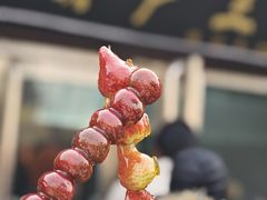 -糖葫芦王保定名吃(古莲花池店)