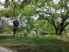 -江心屿景区