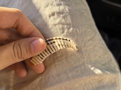 -大连双兴商品城