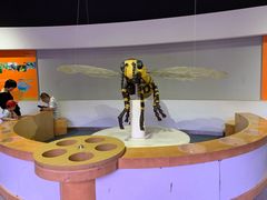 -陕西自然博物馆