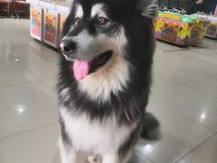 -纳吉亚猫专科动物医院·北北分院