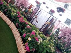 -盈香心动乐园