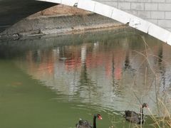-南翠屏公园