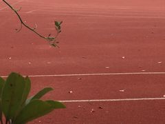 -建平中学西校