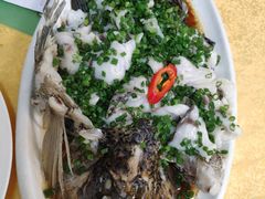 葱油淋大罗非鱼-鸽王世家(东华东路店)