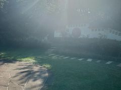-南山植物园