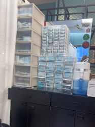 -众刺纹画·纹身·穿孔饰品·海娜定制