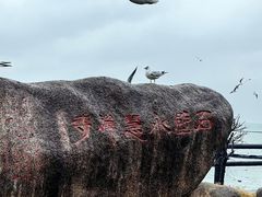 -香雪海