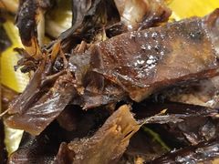 -金元源(新星店)