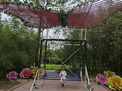 -曹州牡丹园