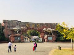 -上海海湾国家森林公园