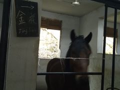 -枫露马术学院(藏书校区)