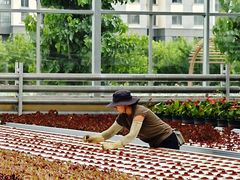 -北国之春国宴(乌兰察布店)