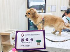 体检-宠爱国际动物医院·疑难骨科·心肾内科·皮肤科(太阳宫店)