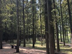 -南京金牛湖风景区