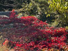 -北京西山国家森林公园
